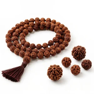 rudraksh collection ekam gems