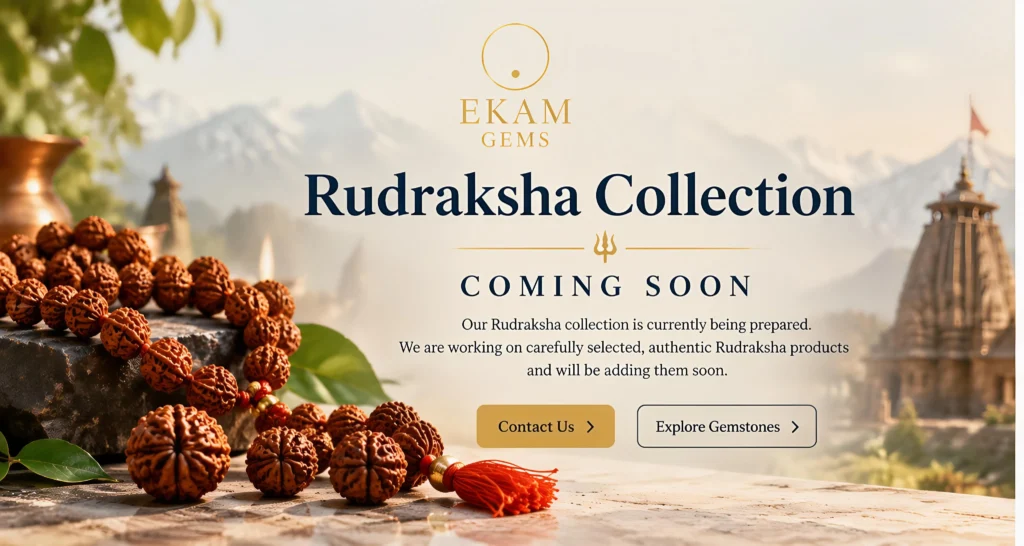 Rudraksha Collection -Ekam Gems