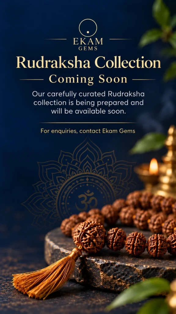 Rudraksha Collection -Ekam Gems